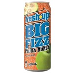 FRESH UP BIG FIZZ FEIJOA BURST 500ML X 12 PACK